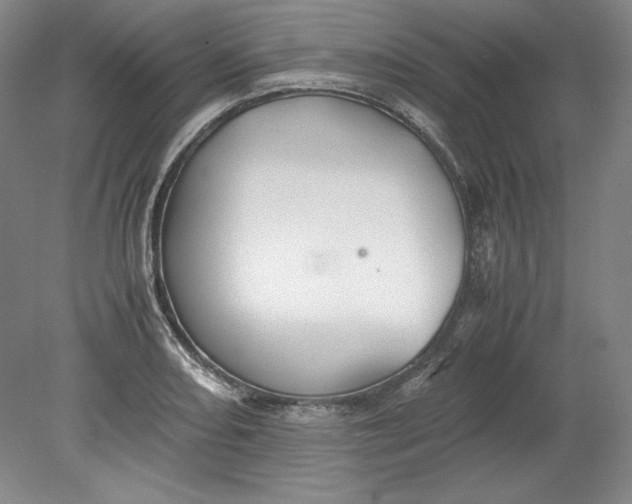 X0000080731082200701021114