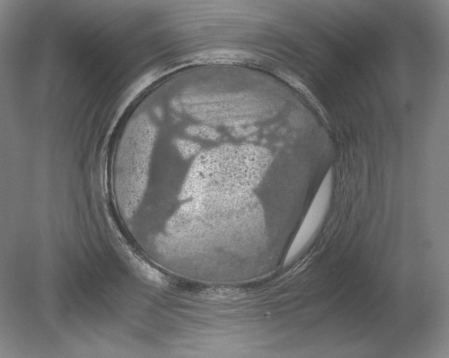 X0000080731083200701021114