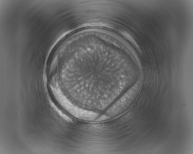 X0000080731084200701021114