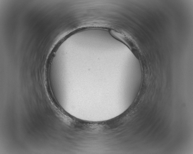 X0000080731085200701021114