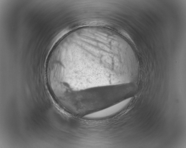 X0000080731087200701021114