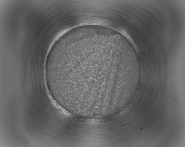 X0000080731088200701021114