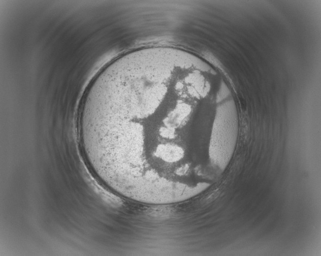 X0000080731090200701021114