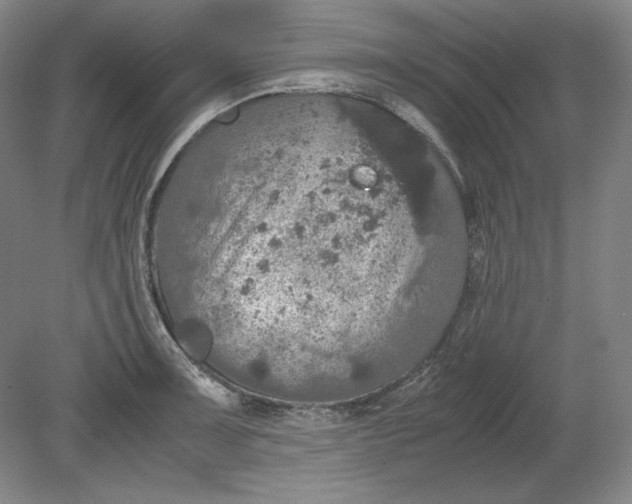 X0000080731091200701021114