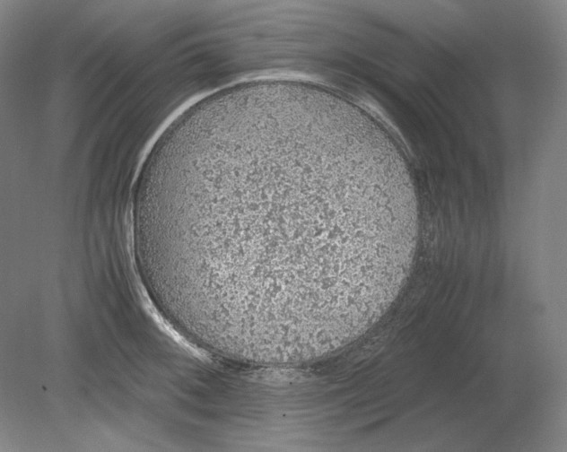 X0000080731092200701021114