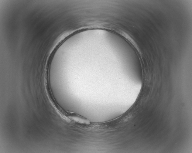 X0000080731093200701021114