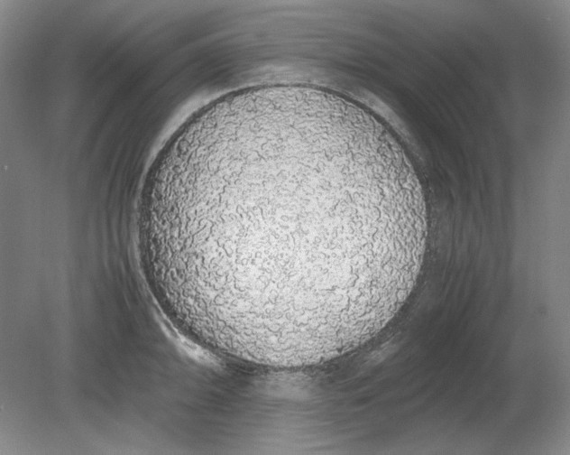 X0000080731094200701021114