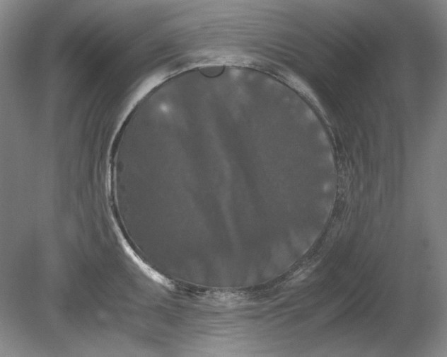 X0000080731095200701021114