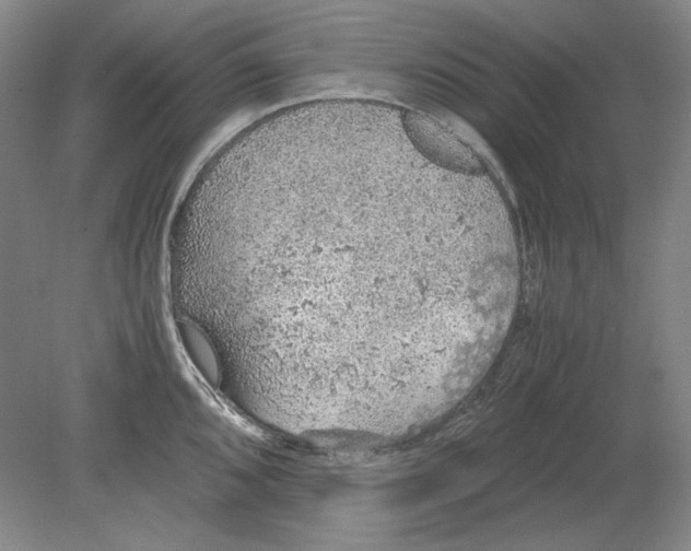 X0000080731096200701021114