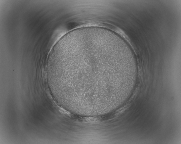 X0000080731097200701021113