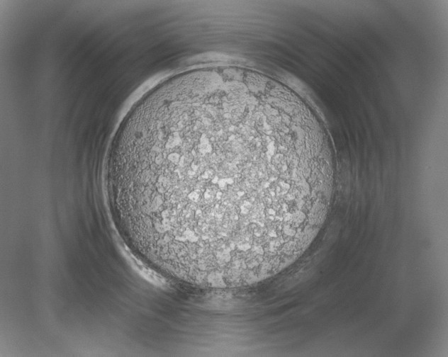 X0000080731098200701021113