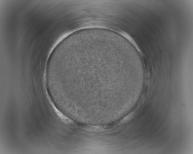 X0000080731101200701021113