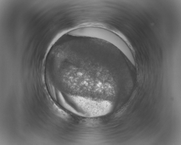 X0000080731102200701021113