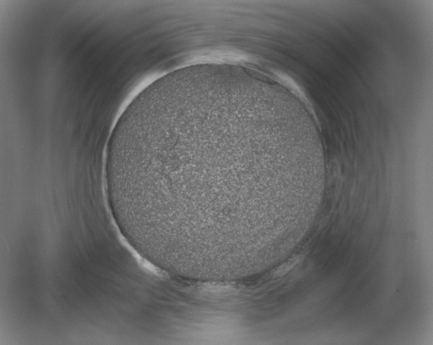 X0000080731103200701021113