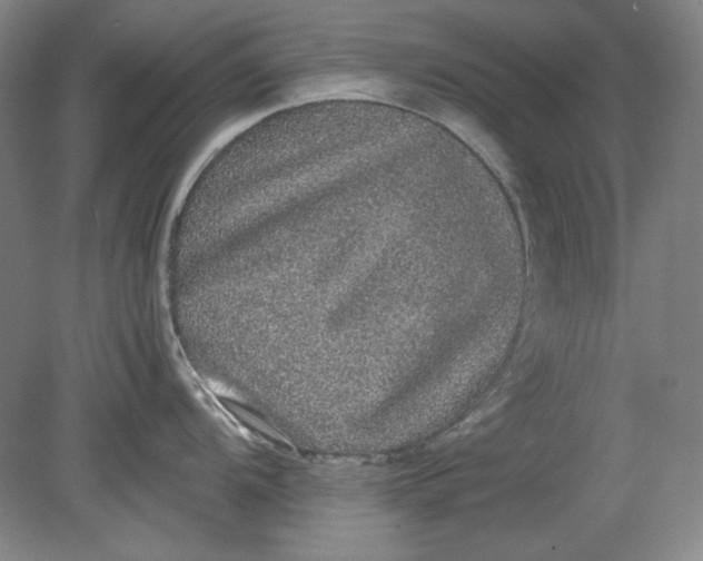 X0000080731104200701021113