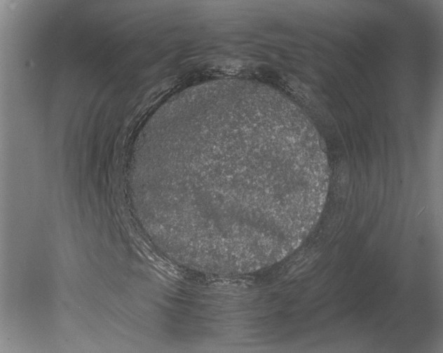 X0000080731105200701021113