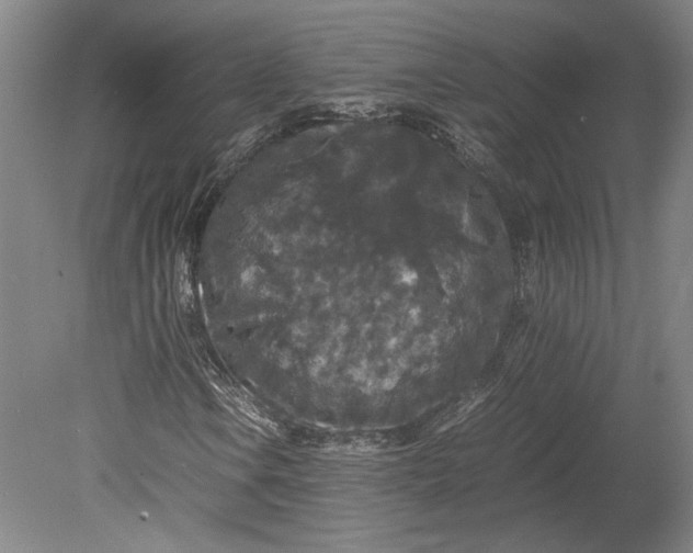 X0000080731106200701021113