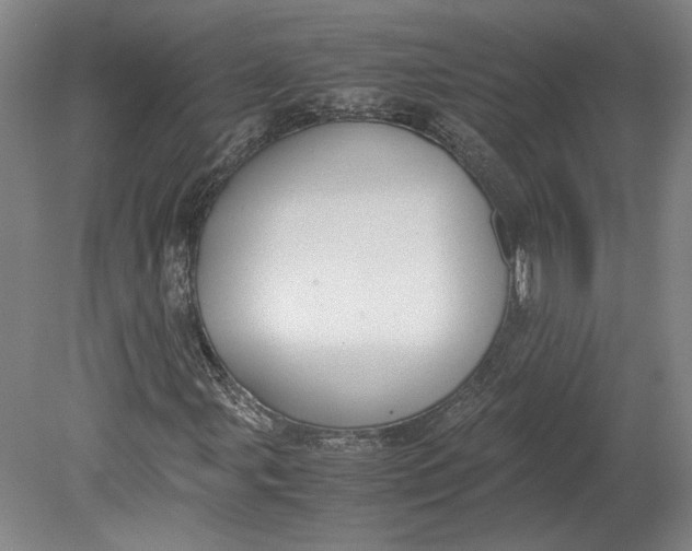 X0000080731107200701021113