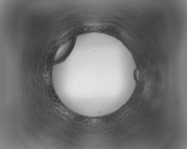 X0000080731109200701021113