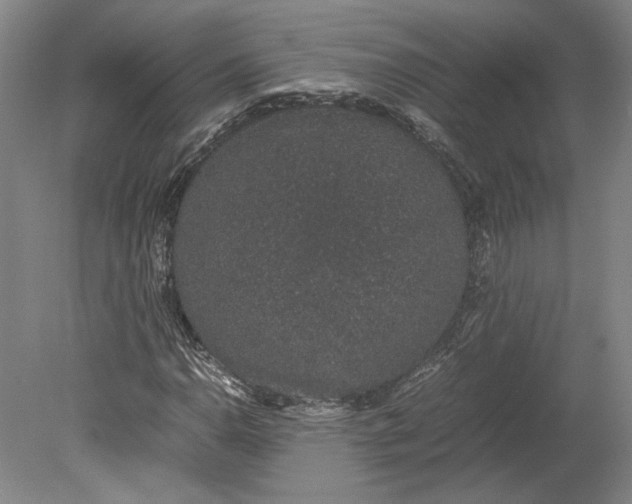 X0000080731110200701021113