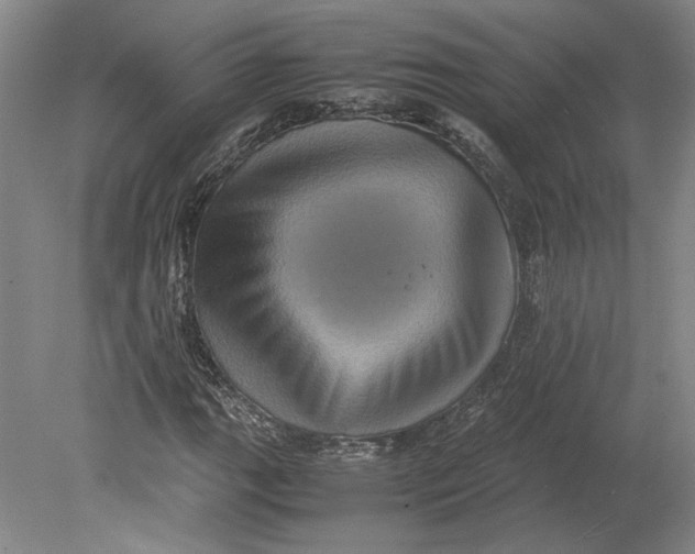 X0000080731111200701021113