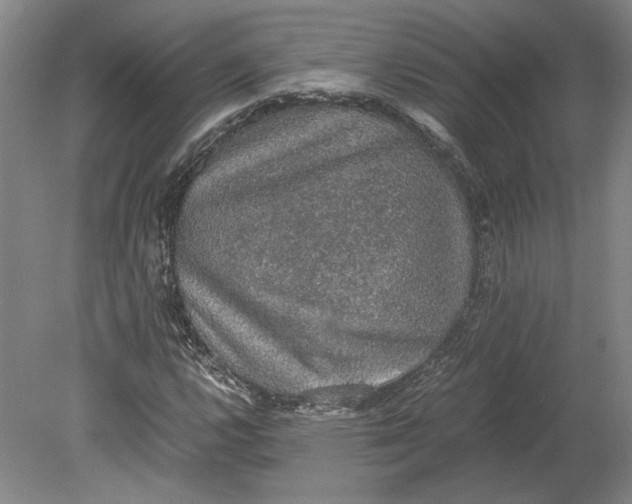 X0000080731112200701021113