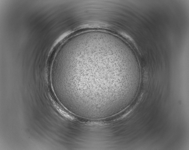 X0000080731114200701021113