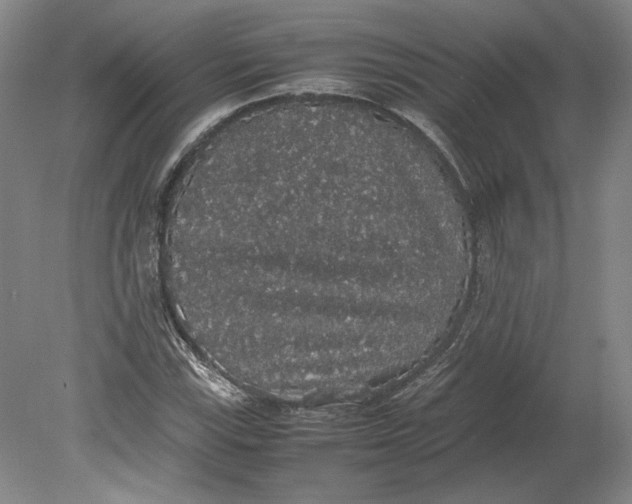 X0000080731115200701021113