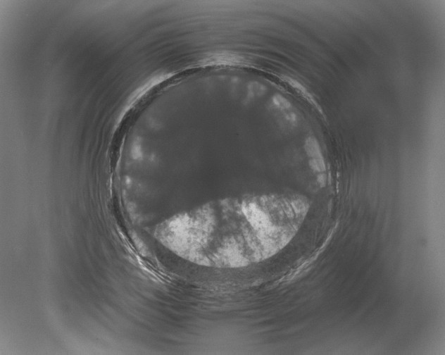 X0000080731117200701021113