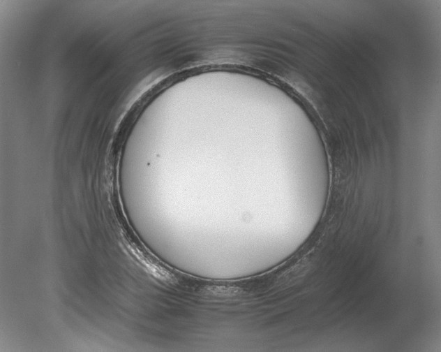 X0000080731119200701021113