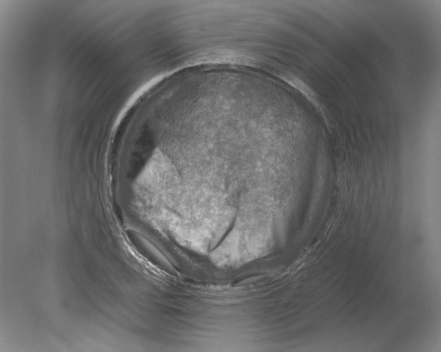 X0000080731120200701021113