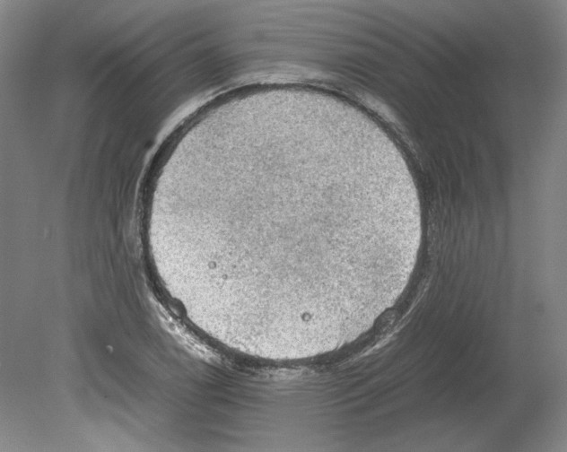 X0000080731122200701021113