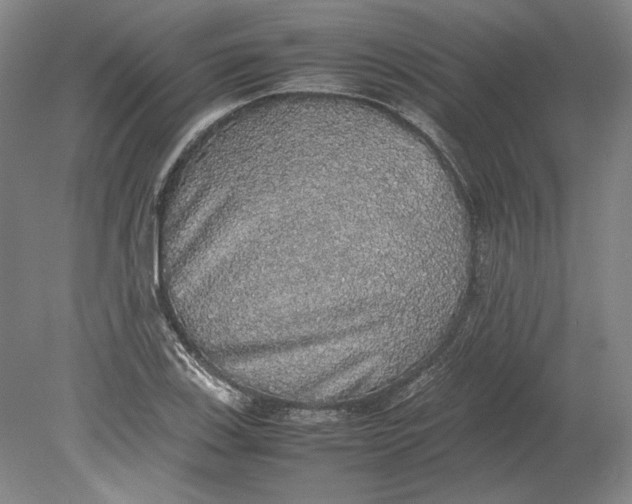 X0000080731123200701021113