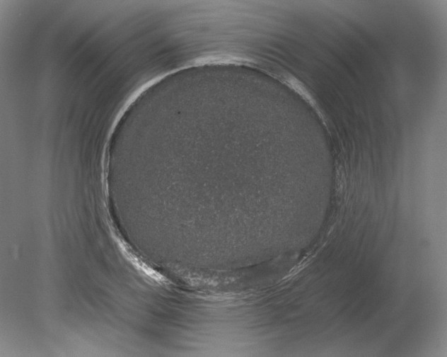 X0000080731124200701021113