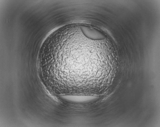 X0000080731125200701021113