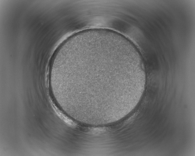 X0000080731126200701021113