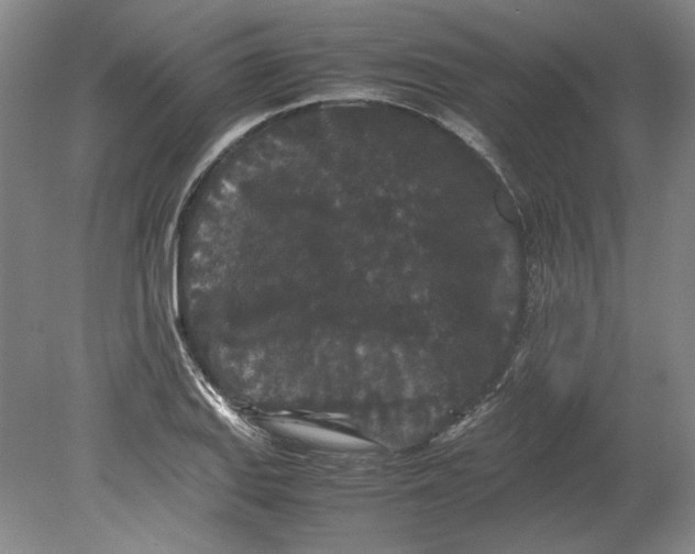 X0000080731127200701021113