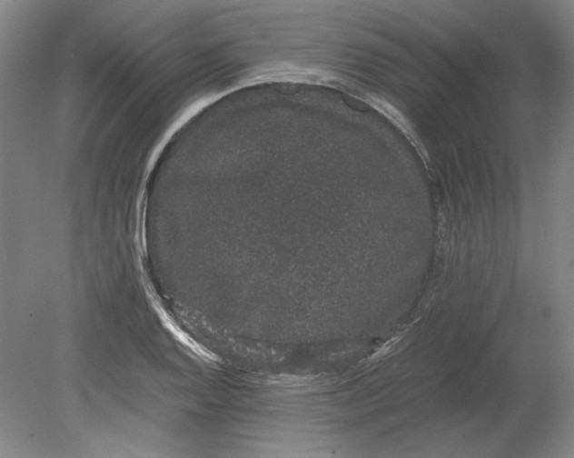 X0000080731128200701021113