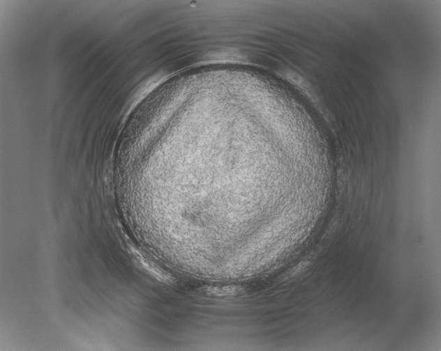 X0000080731129200701021113