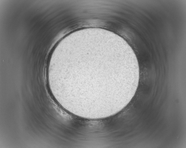 X0000080731130200701021113