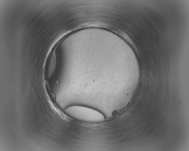 X0000080731132200701021113