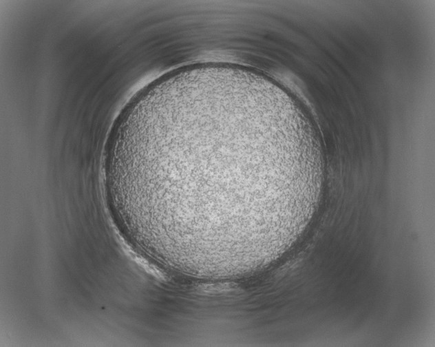 X0000080731133200701021113