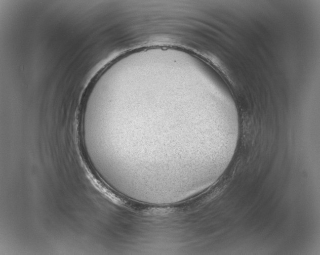 X0000080731134200701021113