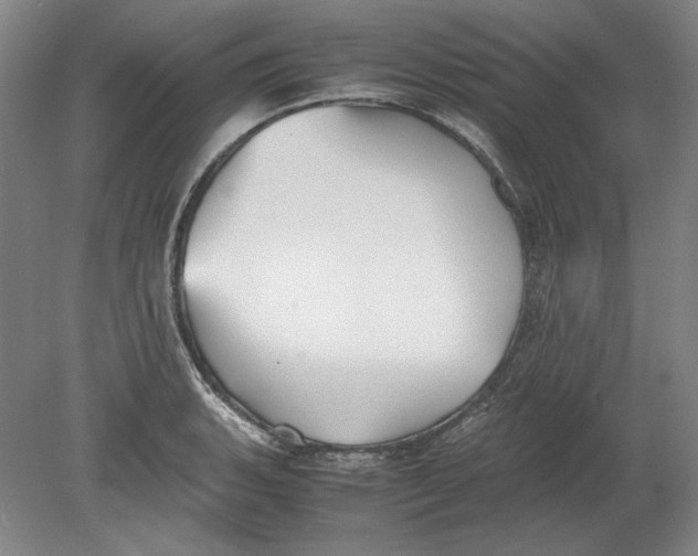 X0000080731135200701021113