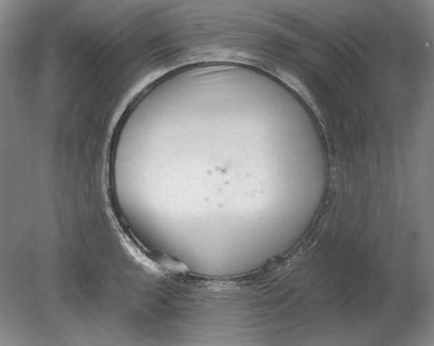 X0000080731136200701021113