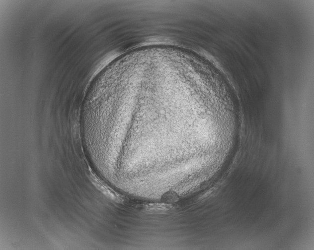 X0000080731137200701021113