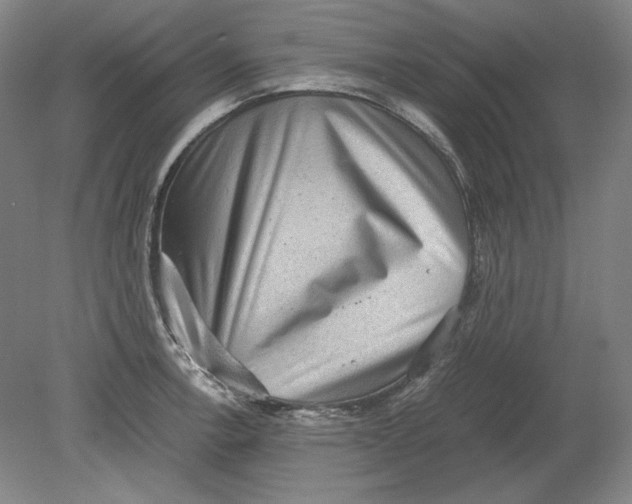 X0000080731138200701021113