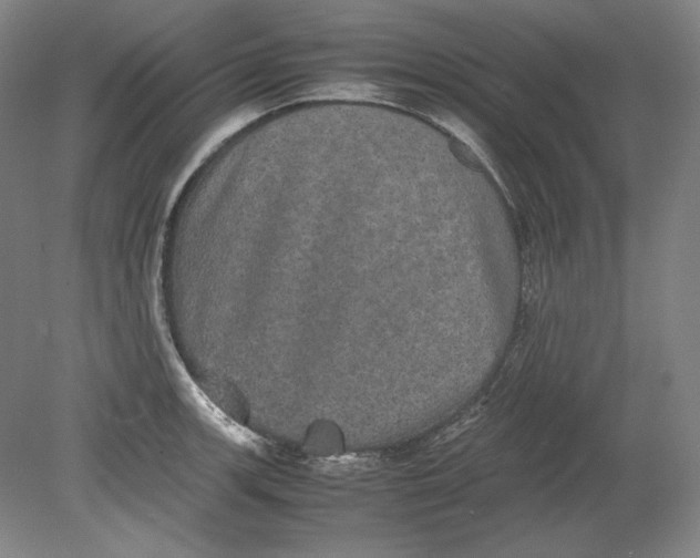 X0000080731139200701021113