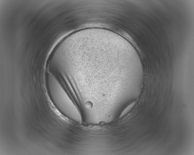 X0000080731140200701021113