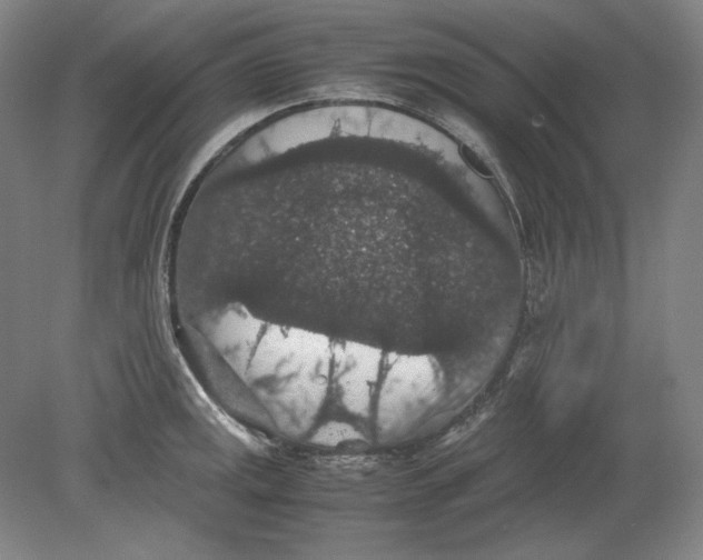 X0000080731141200701021113